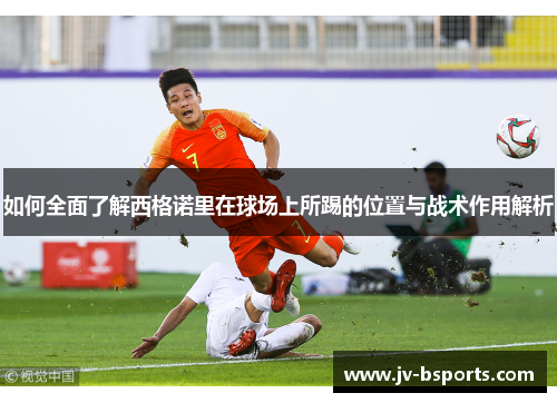 如何全面了解西格诺里在球场上所踢的位置与战术作用解析