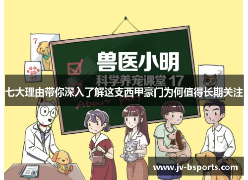 七大理由带你深入了解这支西甲豪门为何值得长期关注