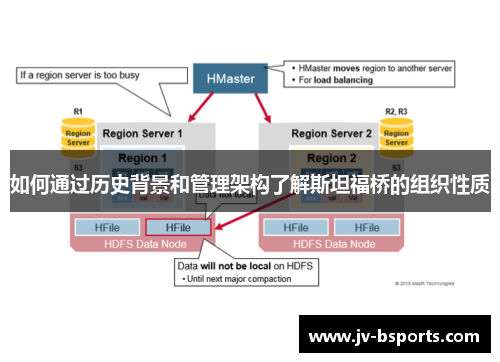 如何通过历史背景和管理架构了解斯坦福桥的组织性质