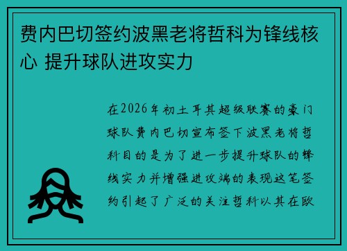 费内巴切签约波黑老将哲科为锋线核心 提升球队进攻实力
