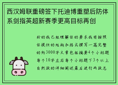 西汉姆联重磅签下托迪博重塑后防体系剑指英超新赛季更高目标再创
